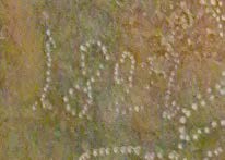 Fiche 55 - Suède – Image 2